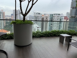 8 Saint Thomas (D9), Condominium #208908191